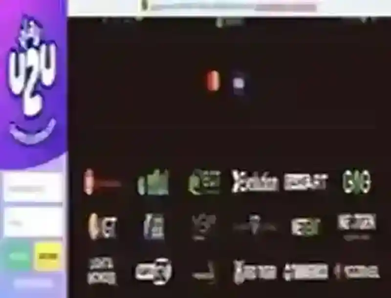 Visa pagos